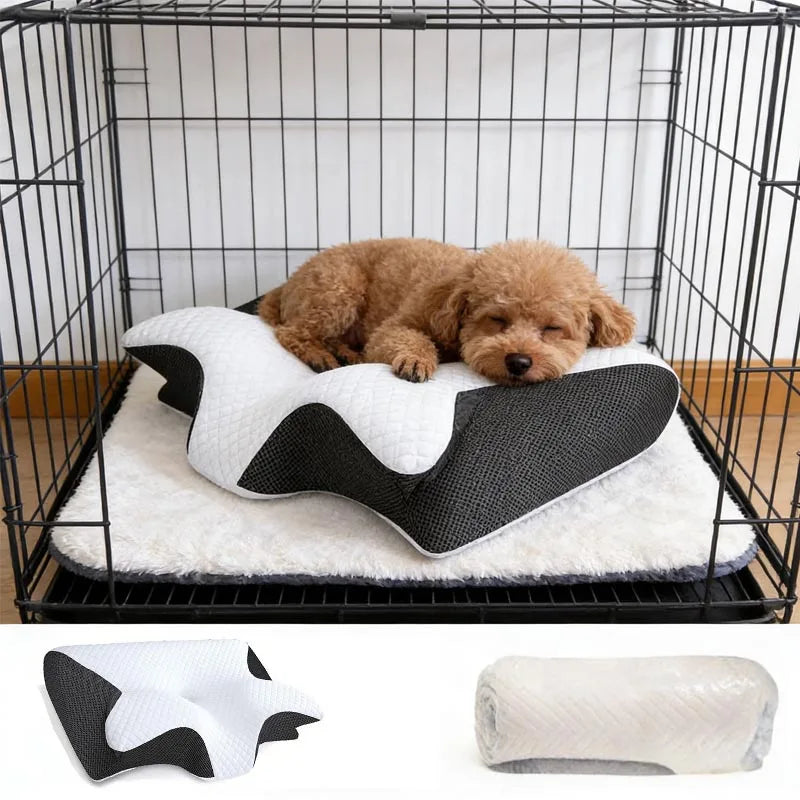 Vitalora Pillow